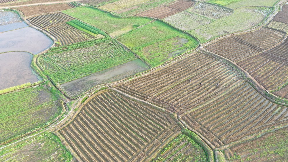 湖南 新田 春分将至 农事忙