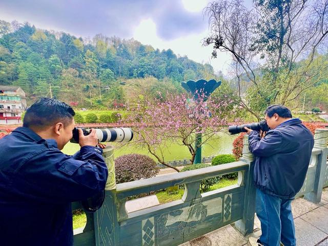 春景“满”镜头
