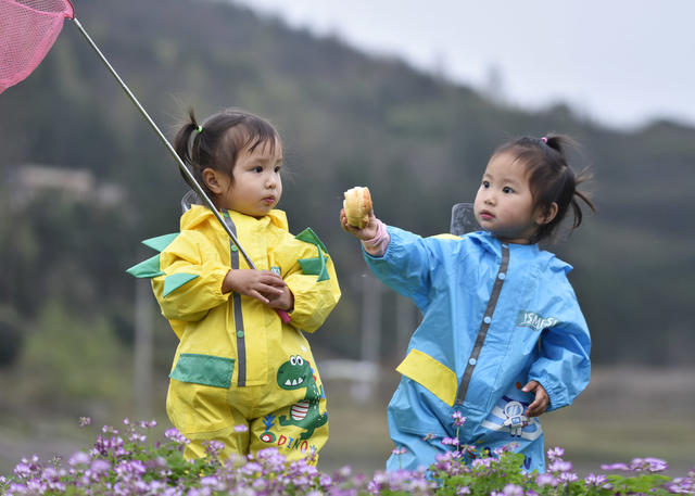 嘉禾：艳丽紫云英 乡村好风景
