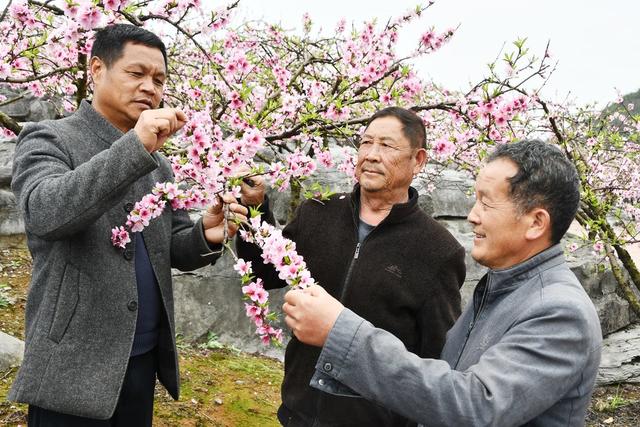 一线解难助增收