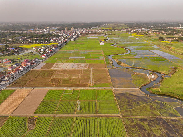端牢手中的饭碗 种粮 粮食生产 粮食安全