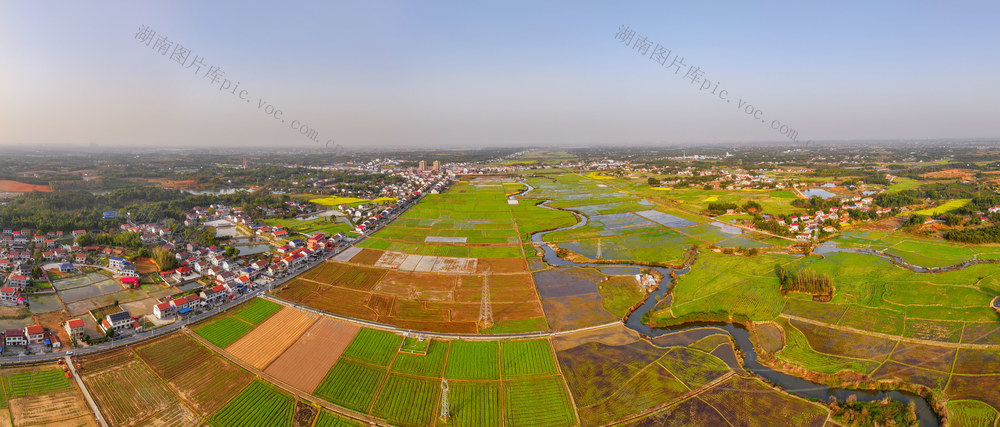 端牢手中的饭碗 种粮 粮食生产 粮食安全