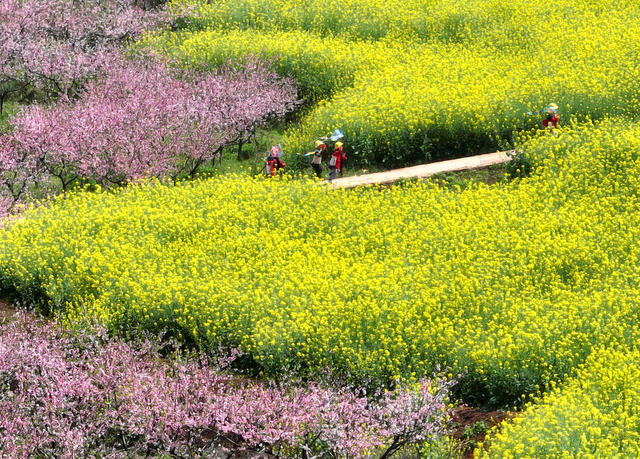 春光 春色 春花 美景