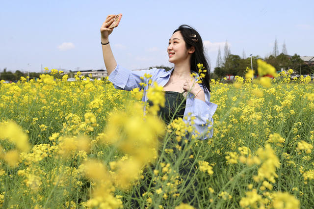 留住春天 定格美丽