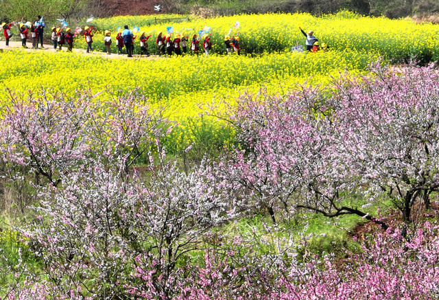 春光 春色 春花 美景