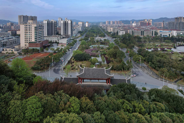 城市植绿生态美