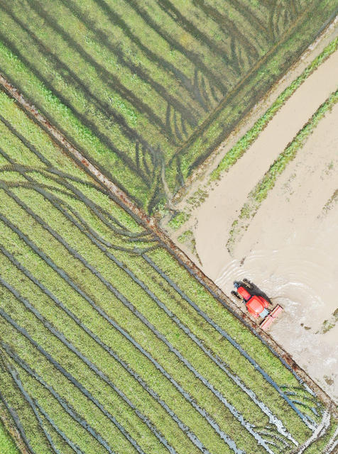 嘉禾：抢农时  春耕忙