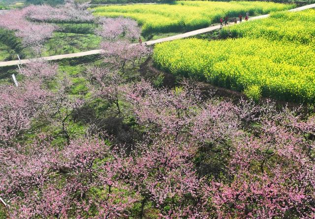 春光 春色 春花 美景