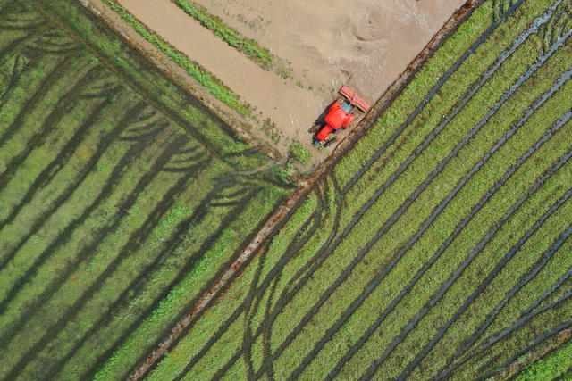 嘉禾：抢农时  春耕忙