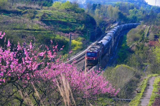 “铁龙”飞驰在春光里