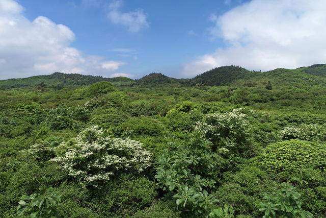 古田 高山草甸 保护区 湿地