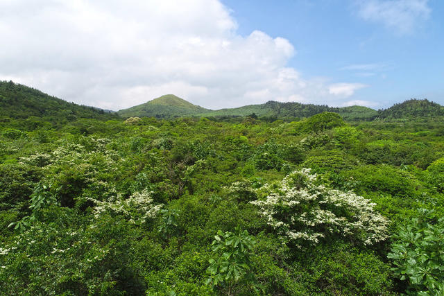 古田 高山草甸 保护区 湿地
