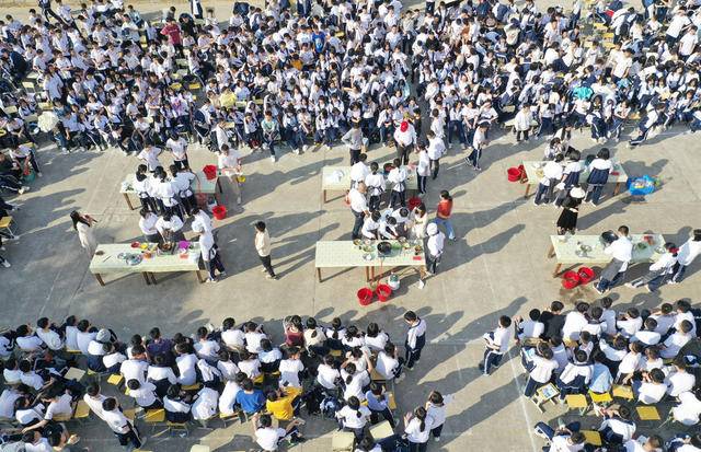 学生 劳动 厨艺