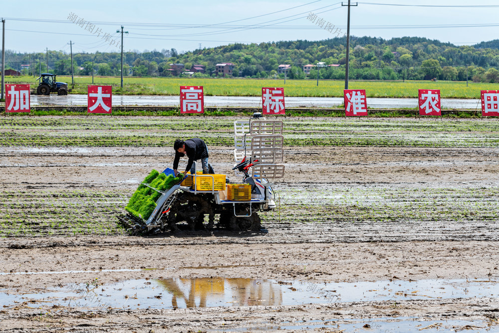 春插  农业新质生产力