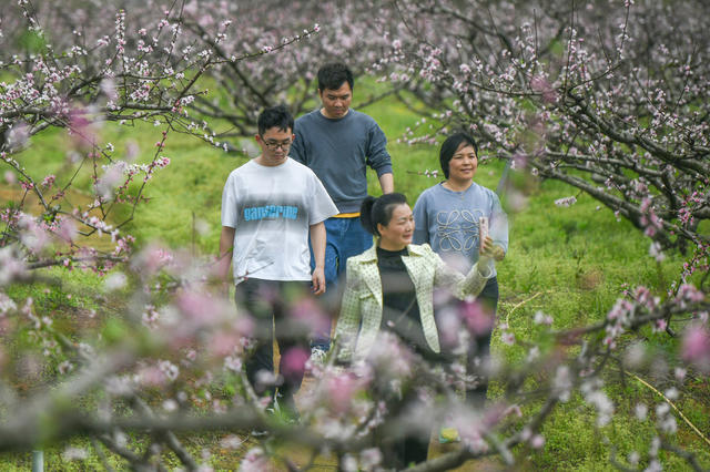 江华
春暖花开
春天
