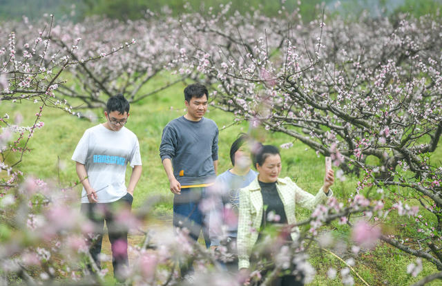 江华
春暖花开
春天
