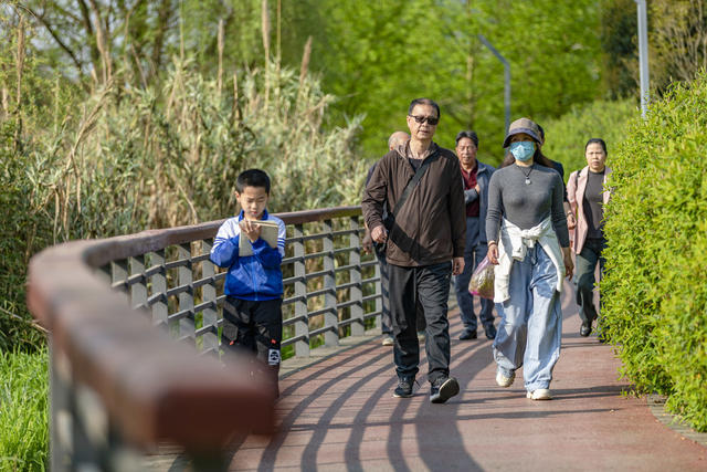 峒河 湿地 春光 城市之肾 绿色 自然