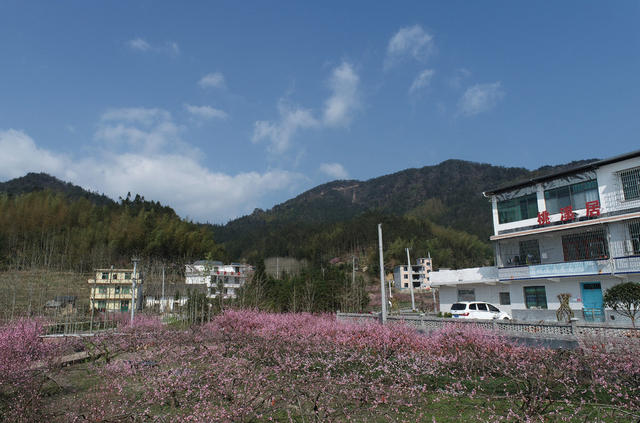 湖南桂东 产业 乡村 美 青竹村 旅游民宿