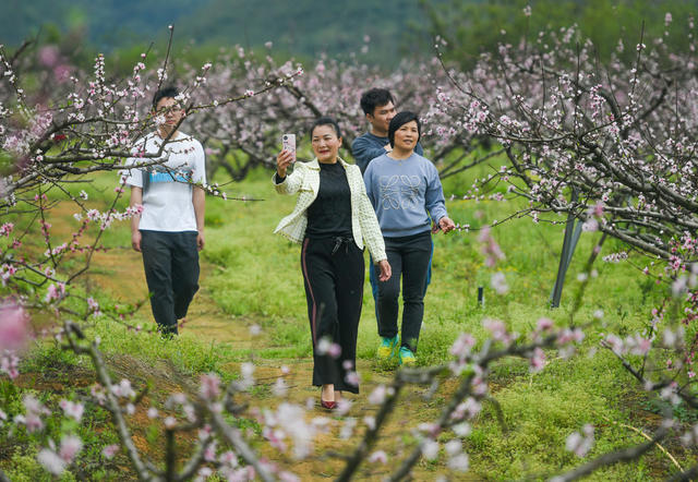 江华
春暖花开
春天
