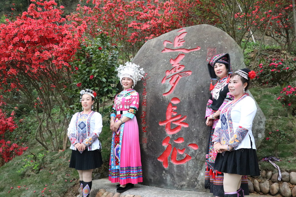 长征精神
民族团结
文化传承