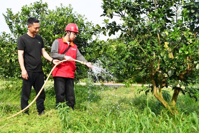 保电力  保春灌
