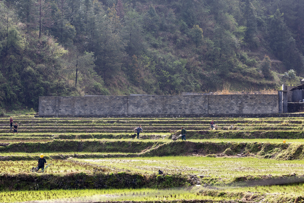 春耕生产 新农村 乡村振兴
