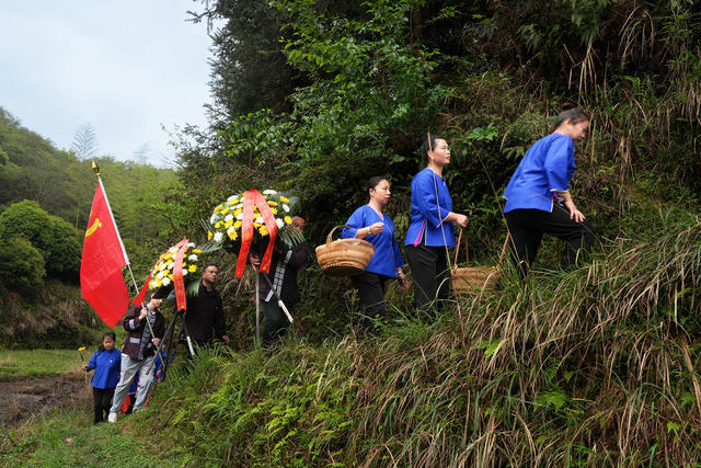 清明节  祭奠英烈 甜藤粑  民俗 侗族