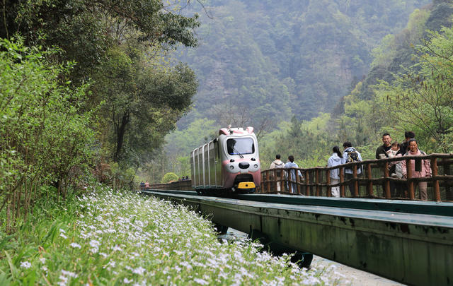 张家界 清明 旅游