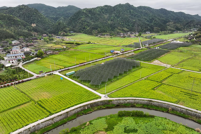 光伏、绿色、清洁能源、道路、乡村、生态