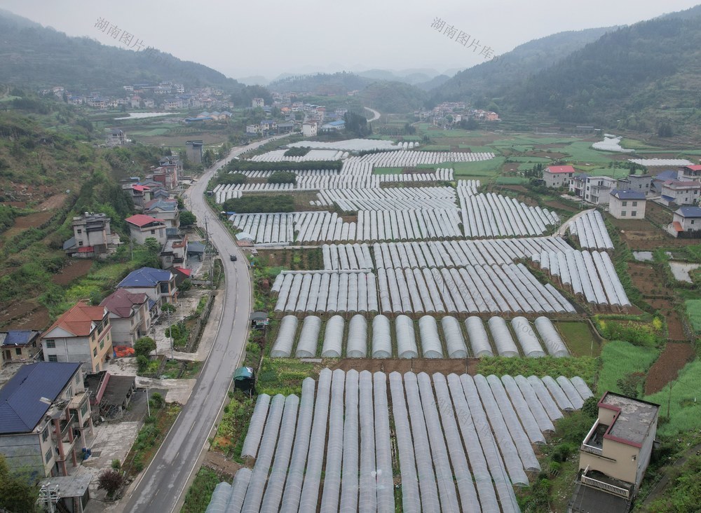春日田园美如画