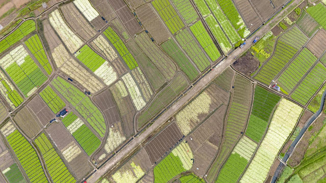 娄底 田园