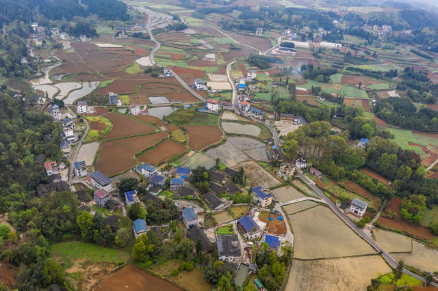 春天  山川  湘西  田园  丛林