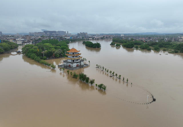 洪水
上涨
讯期
强降雨