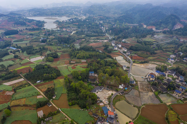 春天  山川  湘西  田园  丛林