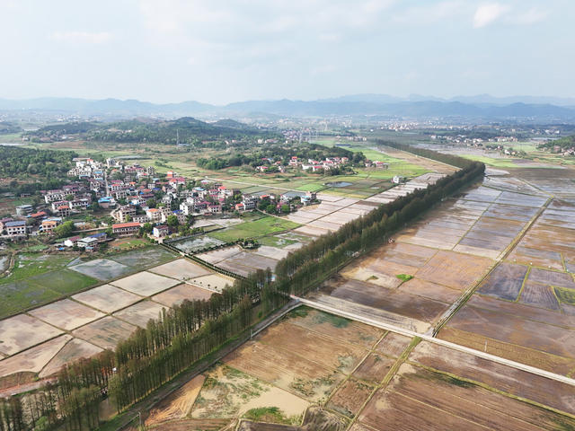 春耕画卷  美丽乡村  春和景明  村庄  田园   水田   春耕生产   水田如镜