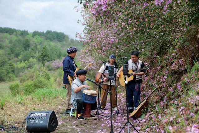 杜鹃花 漫山 摄影 游客