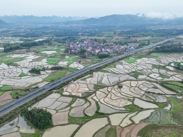 春耕
早稻
道县