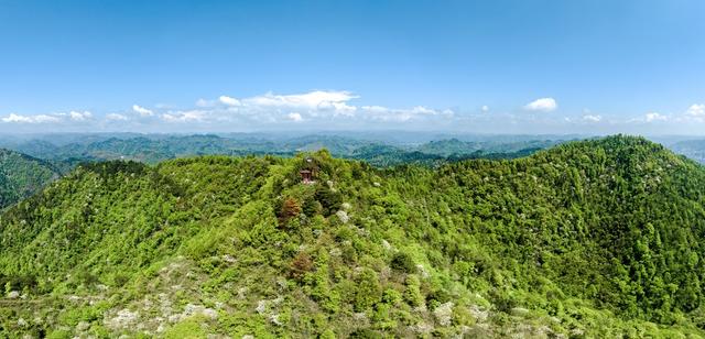 油桐花 吉首 春山 青山 生态