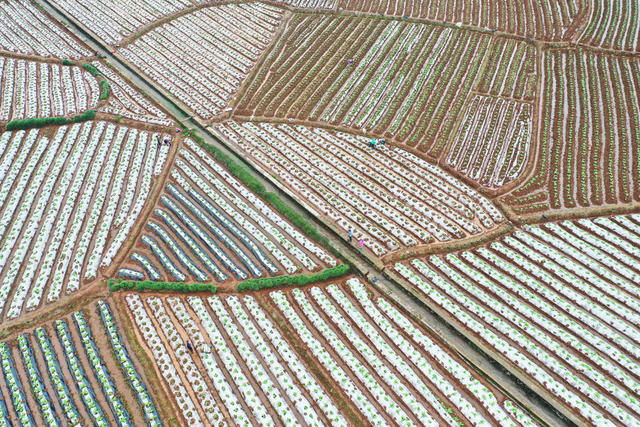 湖南蓝山：如诗如画田园曲