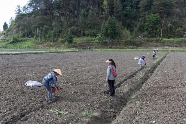 农业生产 高标准农田 新农村建设