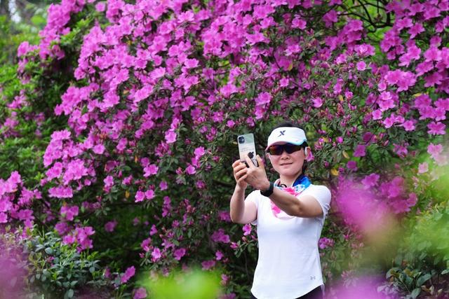 杜鹃花开，引客来，湖南烈士公园
