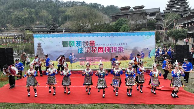 通道侗族自治县 民俗文化 油菜花节