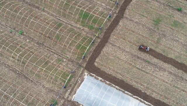 农事 春季 农事