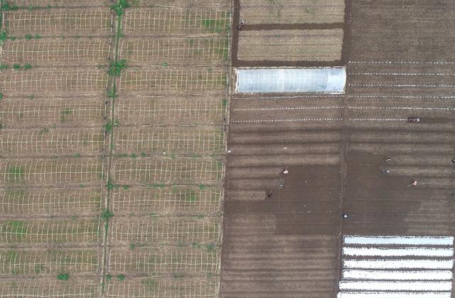 农事 春季 农事