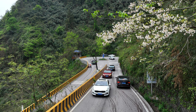 公路 花 车 山 