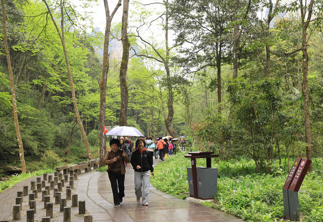 张家界国家森林公园 旅游 旺季