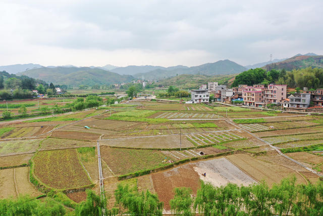 湖南 新田 农民 田间 劳作