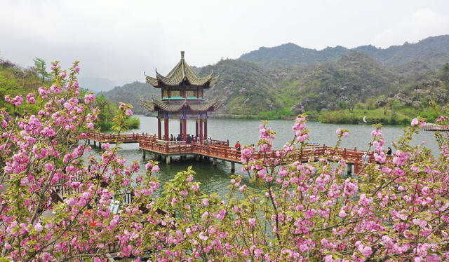 踏青  赏花  休闲 春色  春景  春花