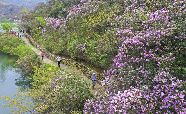 踏青  赏花  休闲 春色  春景  春花