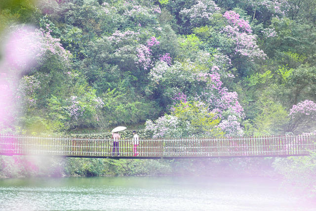 踏青  赏花  休闲 春色  春景  春花